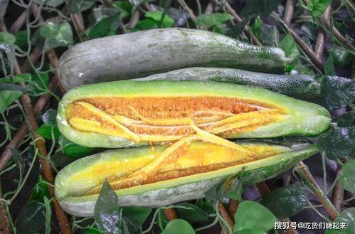 青海网红吃瓜,揭秘高原美食背后的故事 第3张 青海网红吃瓜,揭秘高原美食背后的故事 第3张